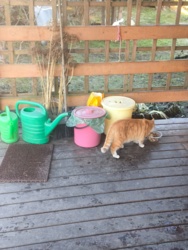 249fe149-dfa5-4911-8ad1-cf56a135a924