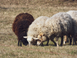 829010a4-2abf-4e5e-9429-21eaf9b133f9