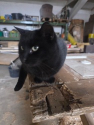 66a20d14-42ec-4074-a49d-c6d72c1f6b9f