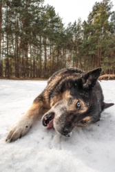 a8a13273-b711-4d75-b0e1-c3fc0c802dc3