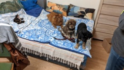 56e9af20-a462-4853-beeb-0f5bd8233245