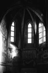 4a082443-dc8b-426a-87f6-e894d5c4f3fb