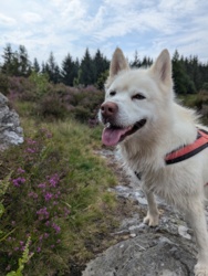 02cc7c07-504e-4fba-879e-81aa94cabe96