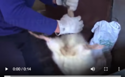 1667c1e0-98f6-4e14-b399-ed83189f637f