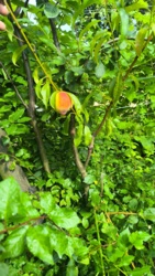 1bc71417-800f-4987-ac16-7fe2c00c2a27