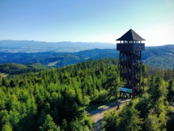 7c541172-907f-4a0e-a120-96317798d95e