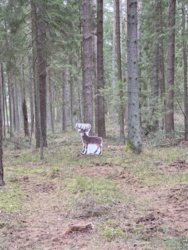 46c9acb0-8d79-4118-9e23-1f717d5a3902