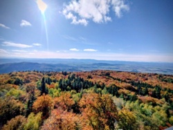 43e3da55-a0d0-442f-9f8b-4453a451f2ce