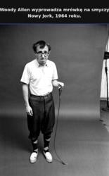 136c55cc-7086-4b86-8fc2-34a311d60d4c