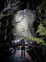 261303b8-be33-4e07-995d-caee720f261a