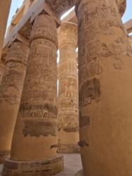 ec7c43c5-57e7-4b11-83cc-ed0d7a82c859