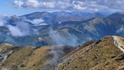 295a50b4-3b4b-4cc2-9eba-a4c2c90906f9