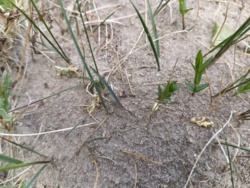 c4706b15-4831-46c0-9cd6-3d6647226e7a