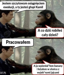 9a1d4c2c-0937-4a58-857c-46d7f7336d25