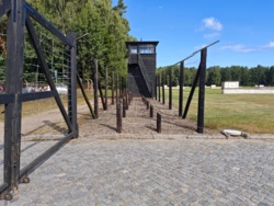 3dbd52cc-b11d-4cf5-a88a-62440accfce4