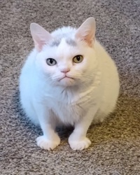 042cf6a5-6bc9-4dbf-a177-b8eeeced2074