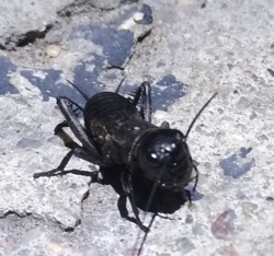 32c47050-3818-4c10-bbf7-5945f9086892