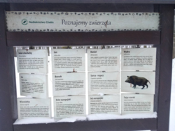 2e4e8f27-445b-4b57-9a38-668af08f6e88