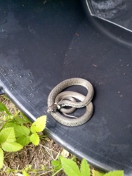 c87ef0be-7e66-45d2-b613-ea0f1c8d8278