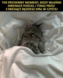 013515f2-b280-43c1-9219-9606e7ac8bab