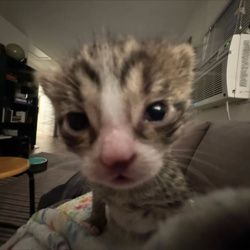 6456a82e-e299-407f-b310-f10f4da46b0b