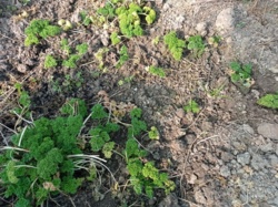 b6017944-a52b-4fb4-92a4-3350bd30c20f