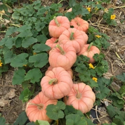 9f87ce2b-bbae-48a9-981b-d266cff26cd3