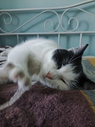 70ab0001-a8cd-443f-ae6b-859079e0b4a6