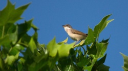 50471398-ea9c-4f34-913e-3d77ef2d9aa4