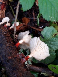 53b49198-2251-45da-b5d7-b71f2f379f30