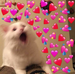 b9bb11a8-fa45-4076-b929-e00ac2a7db0f