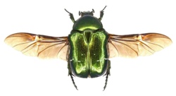 f274e592-265f-409c-a762-e613a5361dfa