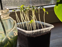 18813c30-f17f-4588-9983-bbb6d35a1820