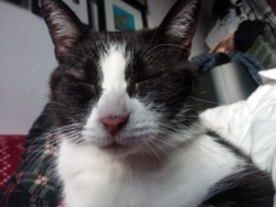 336d2c4c-92c2-4381-9564-fd1179dd8c22