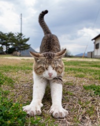 7d5322c9-55a4-4201-a7ef-ecc4ffc554f1