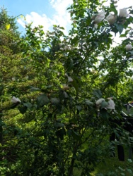 4e22c191-774f-4397-99a0-14b7df92039c