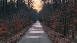 28c15110-1526-4651-bee5-6df73ca5d675