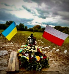 676bfaf9-62e9-4cd5-9442-9c758d756368