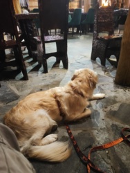 6bb65f14-2b4d-43b4-8abb-11a1cd64311e