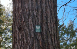 f4f29c10-36da-4dc9-918b-59b54e015dc9