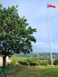 0ac80f20-4f47-4bf3-91ce-cda229933284