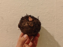 6a7a398d-970c-4ef6-886c-c180713142b5