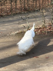 b492e5b9-3606-40d8-a092-3cd2c9101d28