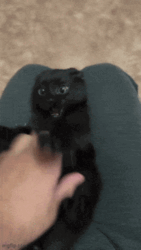 c23b8d26-4bcd-4e29-9941-3989726175b6