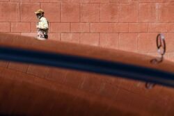 Wariant Gamma wykryty w Rosji. Szeroka transmisja Delty