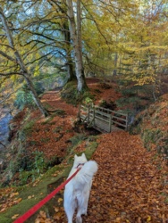 41b75f2f-33c9-4609-a9b8-da1ea01855ef