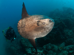 8901438e-3c16-428c-8bc4-0c029df3e9b4