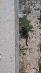 9d105f24-064d-4dc6-8940-a5ba3647f27a