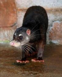 79315821-b911-4cbe-aee1-584c8715b533