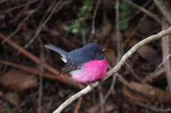 021e9405-3c74-482c-b192-cd544a4530fd